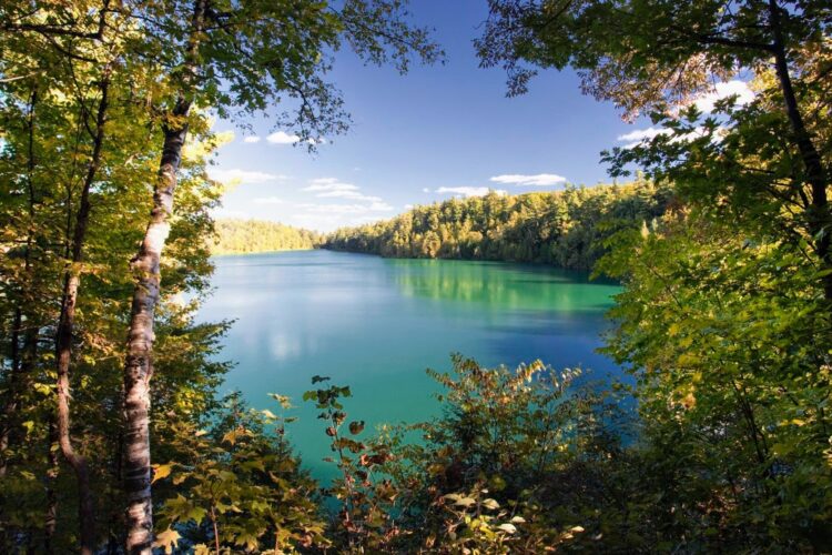 An AeroPress within the Gatineau Hills