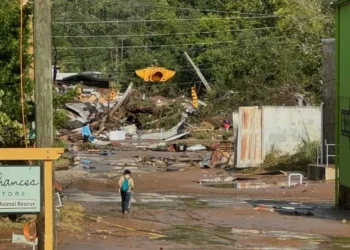 Rebuilding After Hurricane Helene: Espresso Group Members in Want of Assist