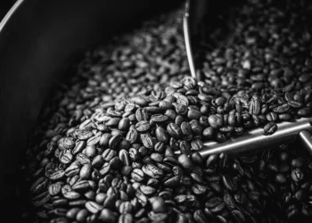 Roasting Machines Defined: Drum Roasters