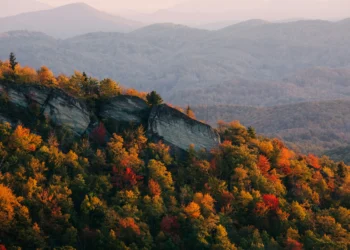 Barista Coalition Hosts Digital Raffle Fundraiser for Helene Victims