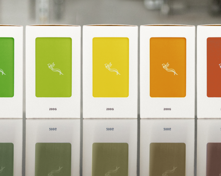 Introducing Aviary’s mannequin for 2025 – Christopher Feran