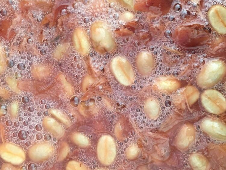 Espresso Processing | Thermoshock – Leaf Bean Machine