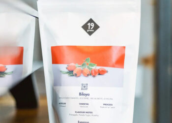 ein fermentiertes Lot aus Äthiopien – 19grams