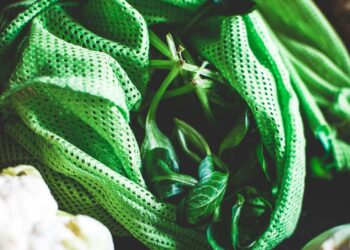 Inexperienced purchasing made simple. – Mount Hagen