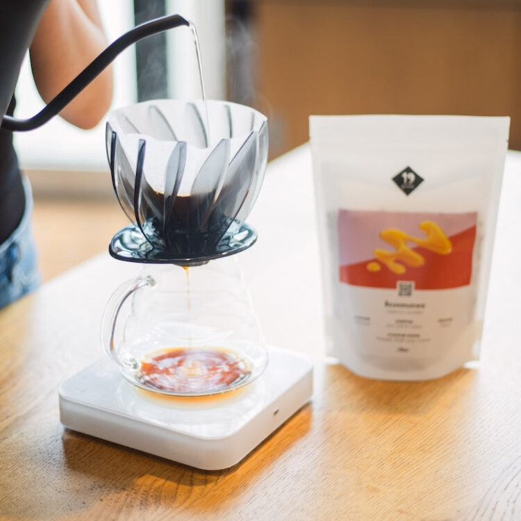 Hario – Der König des Glases und ein Title im Specialty Espresso – 19grams