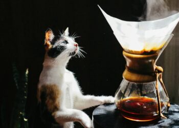 Why does espresso trigger a furry tongue?