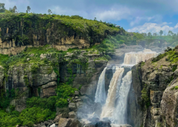 Roasting & Cupping Ethiopian Coffees – Recent Roasted Espresso