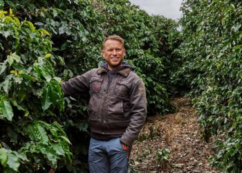 Warum kostet Kaffee gerade so viel?