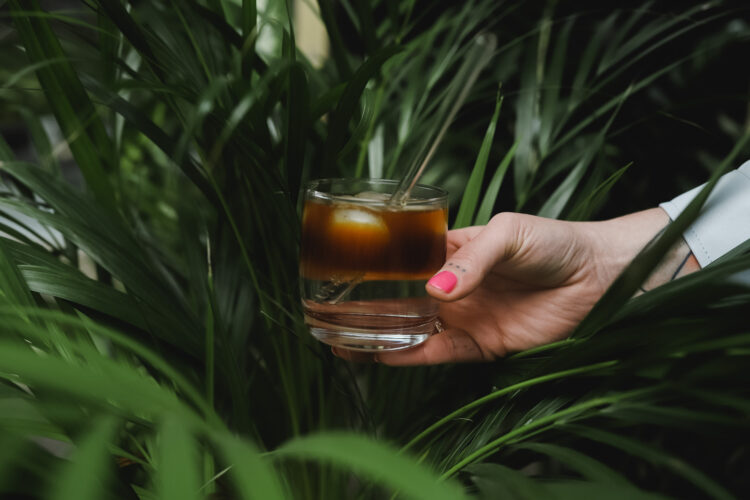 The way to brew the proper Chilly Brew Espresso at residence