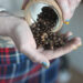 Gentle vs. darkish roast espresso: What’s the true distinction?