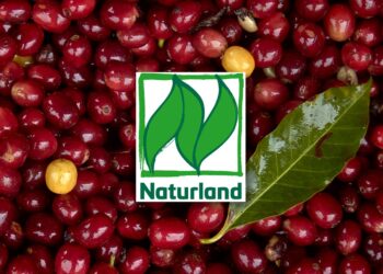 Let’s speak in regards to the impression of natural labels.