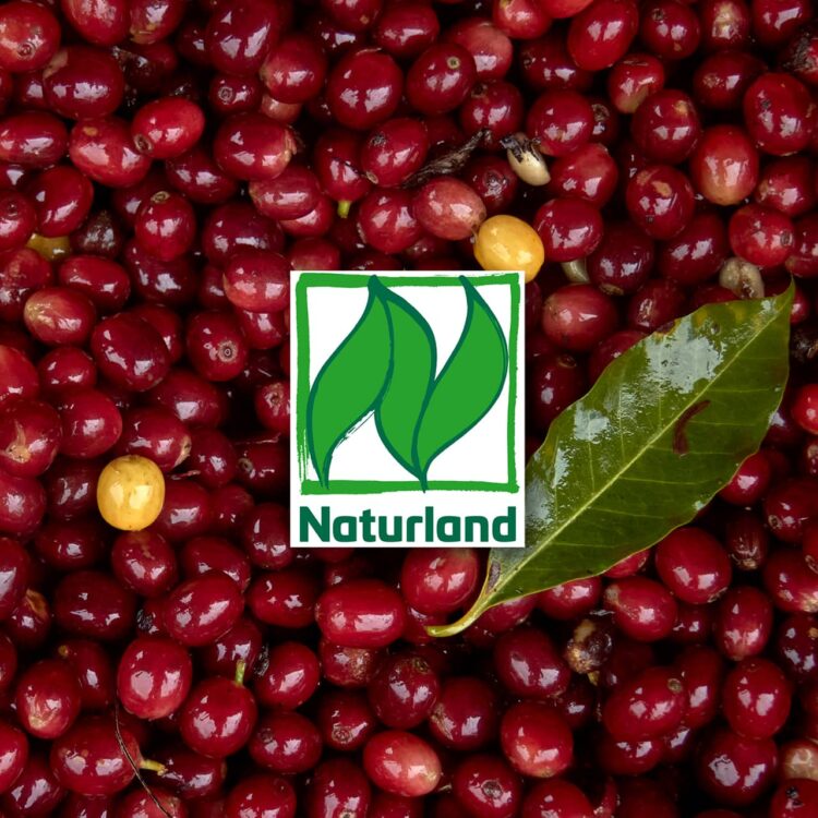 Let’s speak in regards to the impression of natural labels.