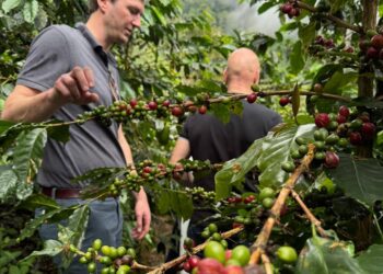 A espresso manin each means.