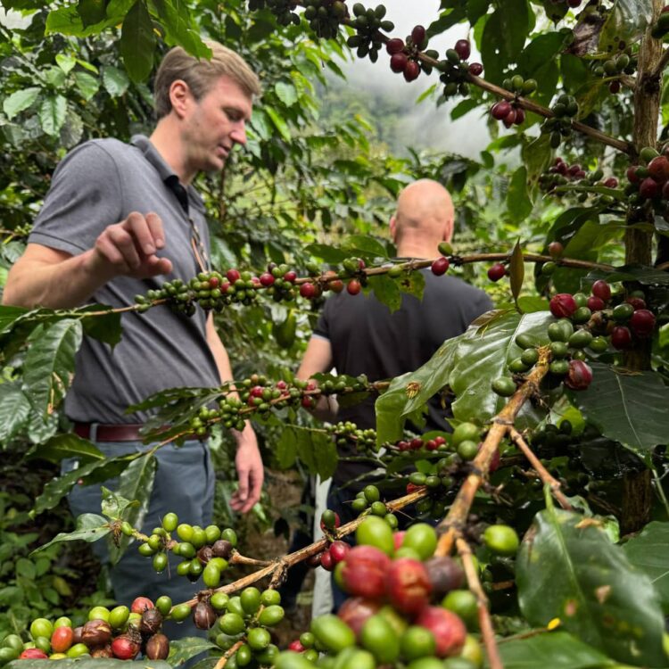 A espresso manin each means.