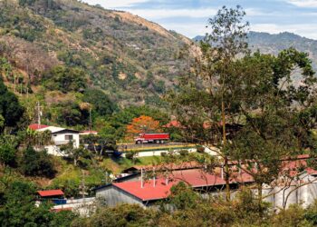 Hacienda La Minita – Half Three: On the Mill – Kaldi’s Espresso