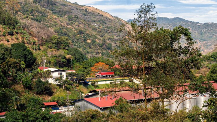 Hacienda La Minita – Half Three: On the Mill – Kaldi’s Espresso