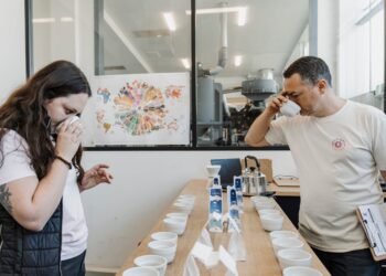 Every day Drop – For each type of espresso lover – Thieves Espresso