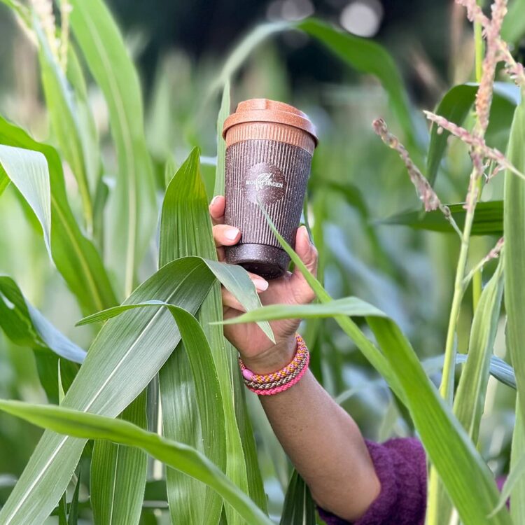 What precisely is reusing, recycling, and upcycling?