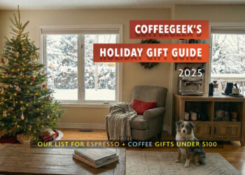 Greatest Espresso + Espresso Presents Beneath $100 for 2025
