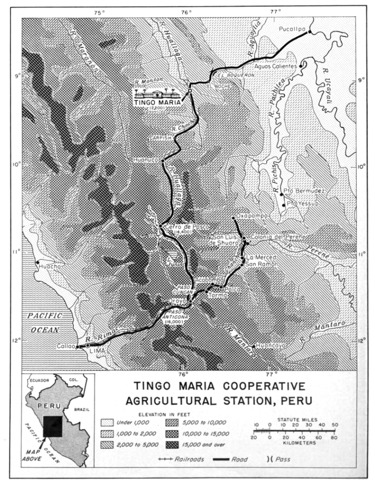 The misplaced origins of “Inca Gesha” – Christopher Feran